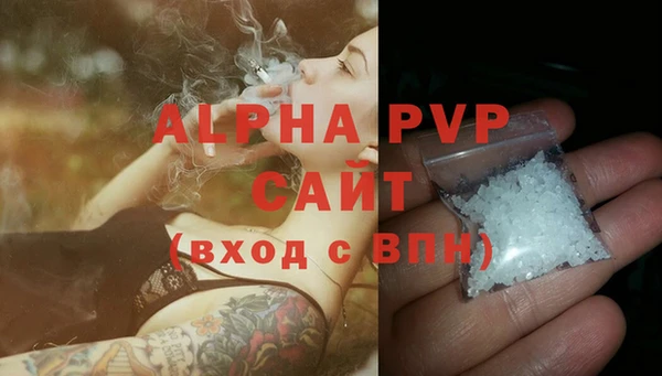крисы Белокуриха