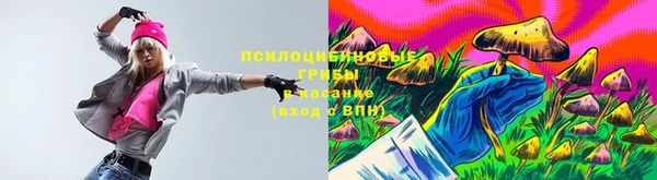 крисы Белокуриха