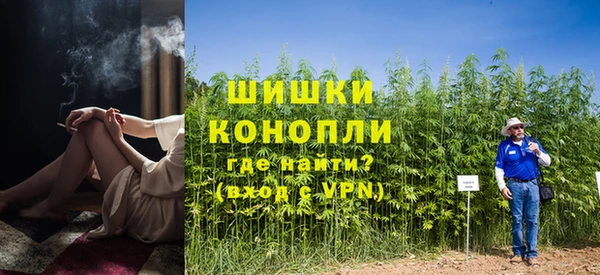 крисы Белокуриха