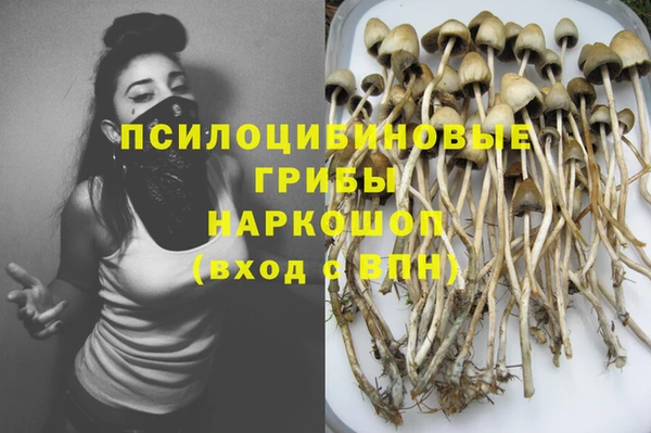 крисы Белокуриха