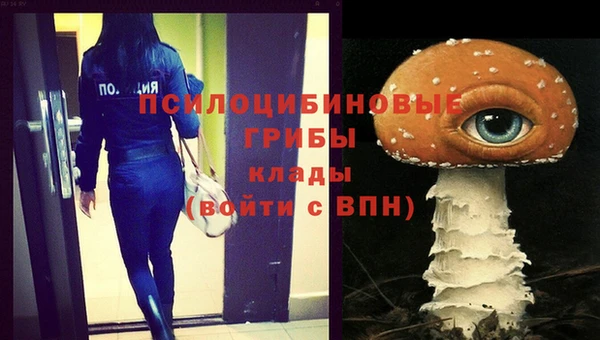 крисы Белокуриха