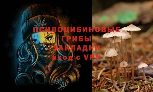 MDMA Premium VHQ Беломорск