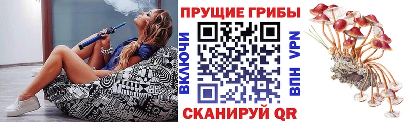 наркотики  Щигры  это формула  Галлюциногенные грибы ЛСД 