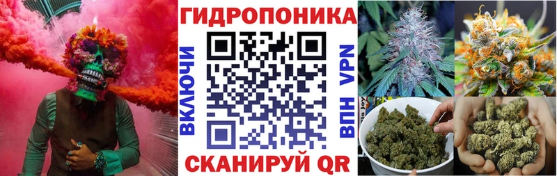 Марихуана OG Kush  mega ССЫЛКА  darknet клад  Щигры 